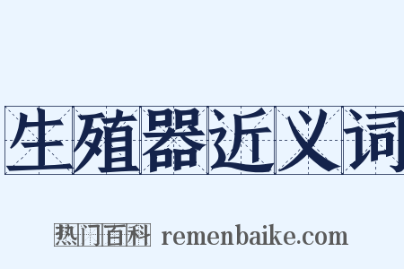 生殖器近义词是什么意思的图片